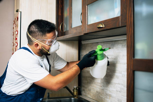 Pest Control for Restaurants in Cowpens, SC