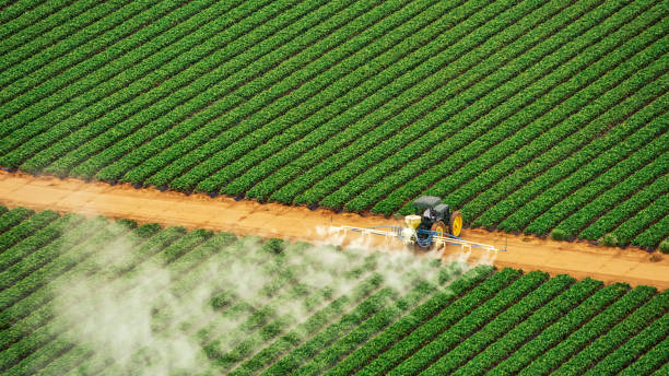 Best Exterminator Services  in Cowpens, SC
