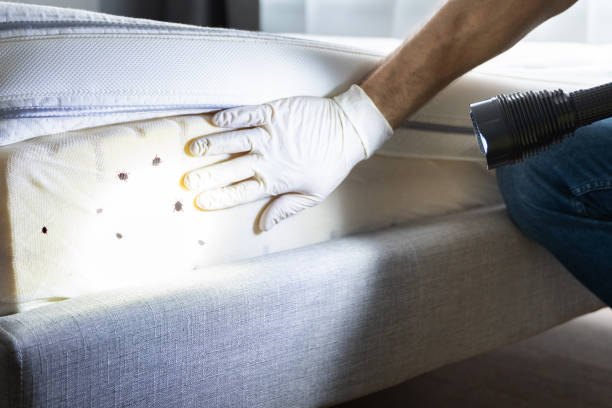 Best Pest Control for Restaurants  in Cowpens, SC