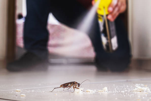 Best Pest Control for Restaurants  in Cowpens, SC