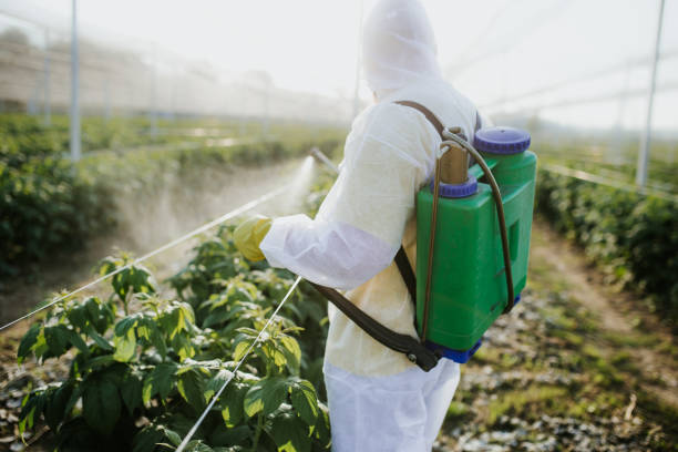 Best Best Pest Control Companies  in Cowpens, SC